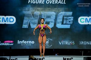 FIGURE OVERALL